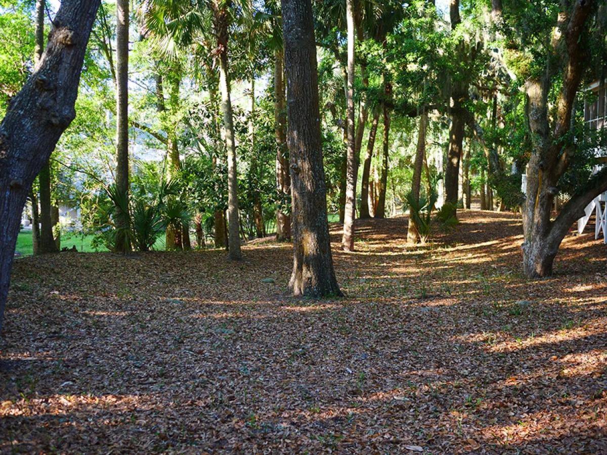 523 Tarpon Pond Johns Island Exterior foto