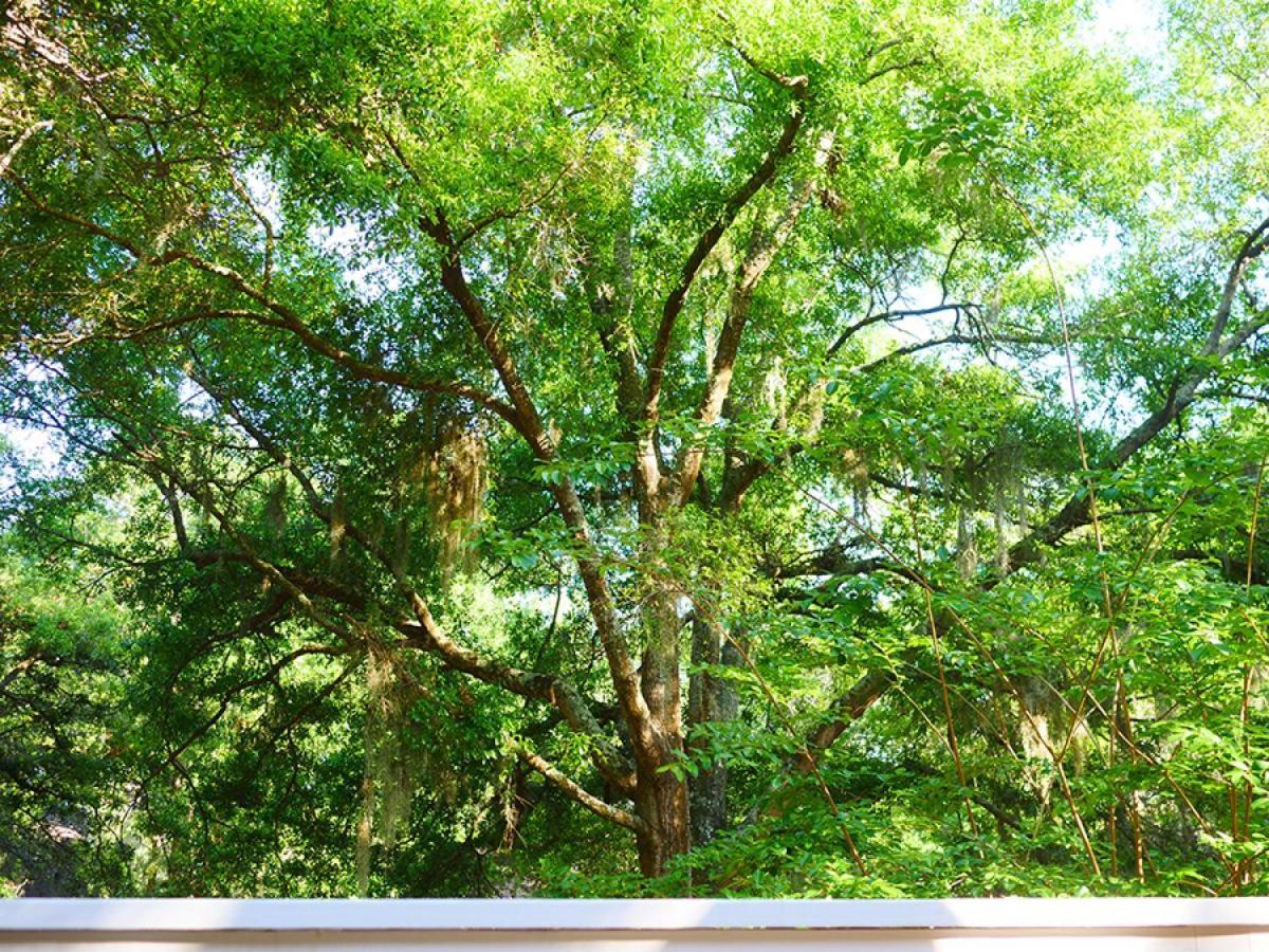 523 Tarpon Pond Johns Island Exterior foto